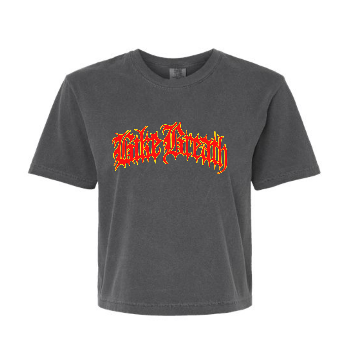 Metal Logo SS Crop Top